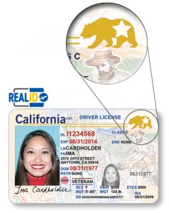 Renewal california driver